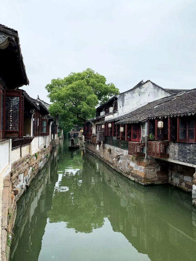 逃离变色龙森林